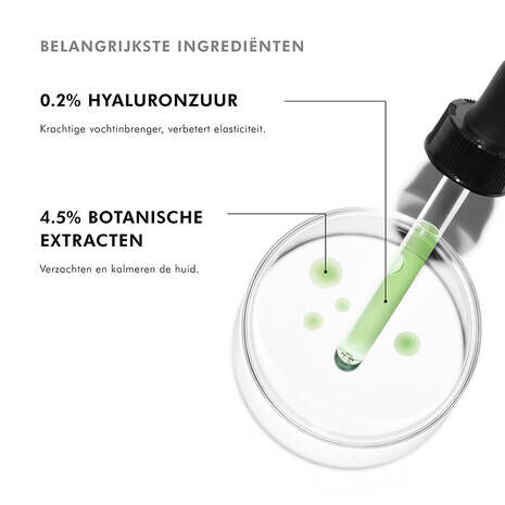 Phyto Corrective