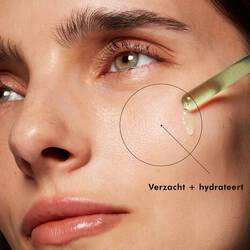 Phyto Corrective