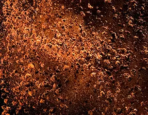 Close-up of a textured, rusty surface with dark and orange hues, showcasing a weathered, organic pattern.