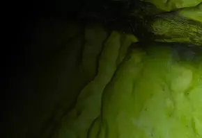 Close-up of a textured, luminous green surface, resembling organic material, with dark shadows enhancing its depth.