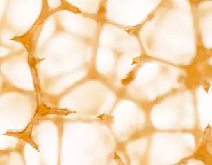 Close-up of honeycomb structure, showcasing intricate patterns and light orange hues.