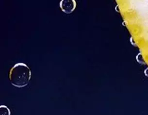 Tranches de citron avec des bulles d’air sur un fond sombre, creant un effet rafraichissant et petillant.
