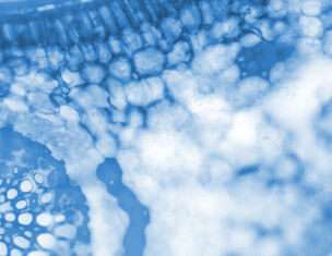 Details microscopiques de cellules en bleu, illustrant la structure complexe et organique d'un objet biologique.