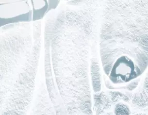 Image abstraite en nuances de blanc, presentant des textures fluides et organiques evoquant des formes naturelles.