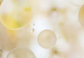 Paraben Free