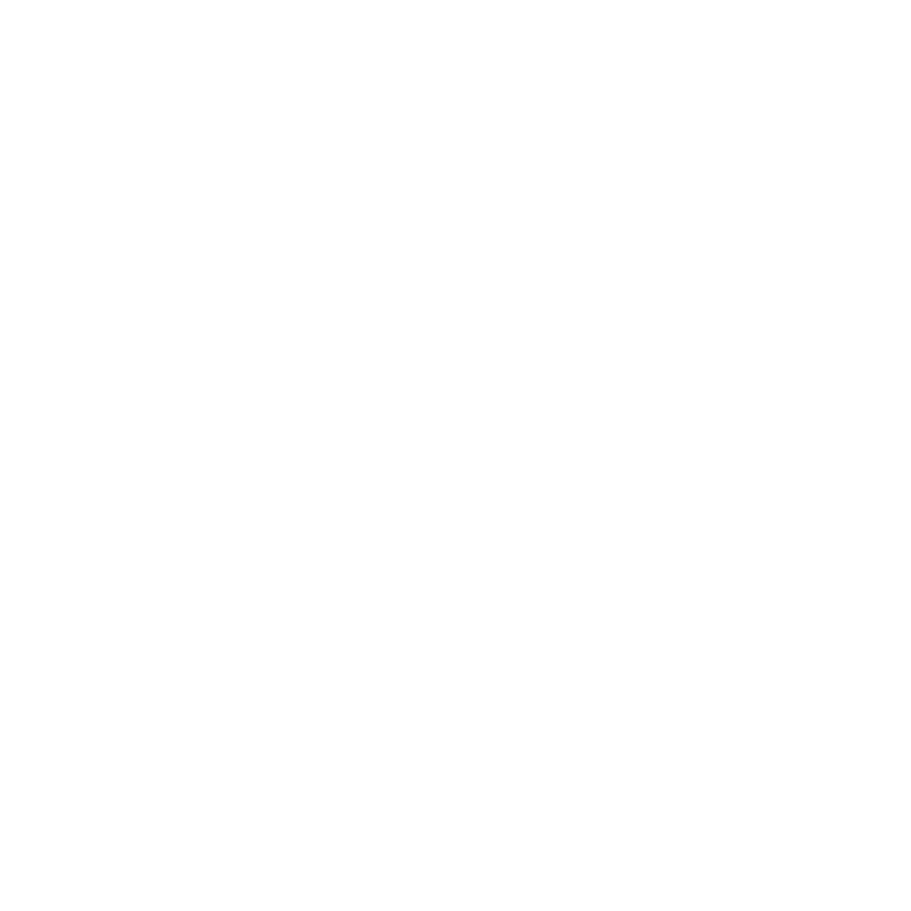 L'image est vide et ne contient aucune information visuelle pour proposer une description.
